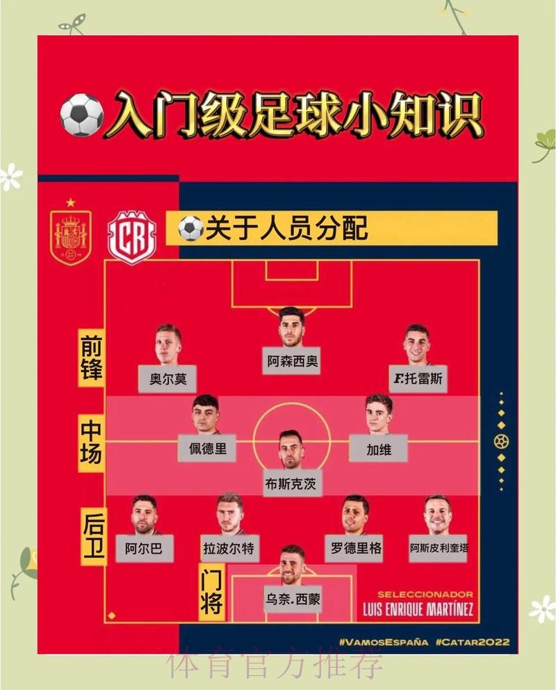 世界杯投注透视：历史规律与策略解析